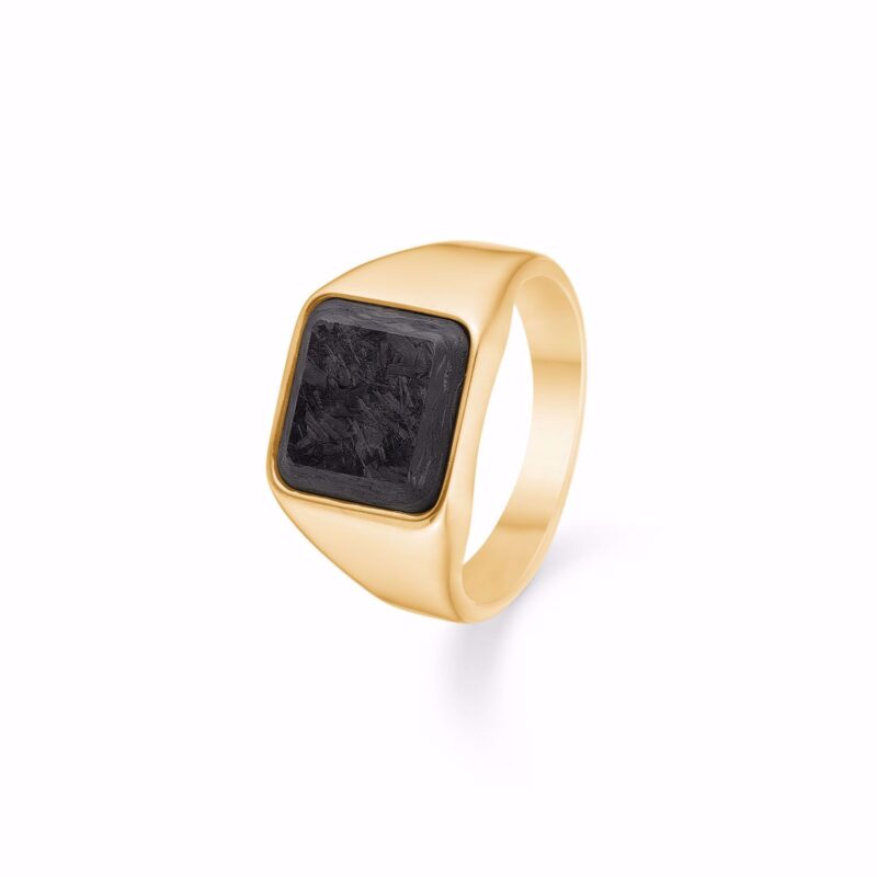 Den fineste herrering med sort sten. Designet som en signet ring.